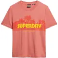 Superdry Outdoor Stripe Relaxed Kortarmet T-skjorte