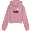 Puma Ess 2 Color Nº 1 Logo​ Hettegenser