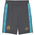 Puma Olympique de Marseille KING Sweat Shorts Men, Sport, Galactic Gray/Luminous Blue, S