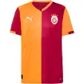 Puma Galatasaray SK 25/26 Home Jersey Men, Sport, Red Rhythm/Intense Orange, L