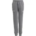 Adidas Mercedes-amg Petronas Formula One Team Silver Arrows Bukser