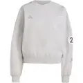 Adidas Mercedes-amg Petronas Formula One Team Silver Arrows Collegegenser