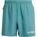 Adidas Terrex Multi Shorts