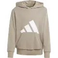 Adidas Essentials Big Logo Hettegenser