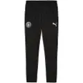 Puma Manchester City Training Pants Men, Sport, Black/Silver, XS