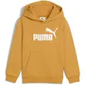 Puma ESS No. 1 Logo Fleece Hoodie Kids, Clothing, Archive Gold, 5-6Y