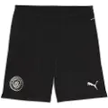 Puma Manchester City Training Shorts Men, Sport, Black/Silver, XL