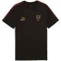Puma RC Lens KING Tee Men, Sport, Black/Matte Gold, XXL