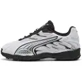 Puma Inhale Smile Sneakers Unisex, Shoes, Silver Mist/Black, 47