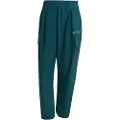 Adidas Terrex Xploric Cargo Bukser
