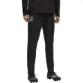 Puma Manchester City Training Pants Men, Sport, Black/Silver, XXL