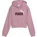 Puma Ess 2 Color Nº 1 Logo​ Hettegenser