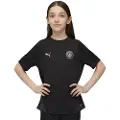 Puma Manchester City Training Jersey Youth, Clothing, Black/Silver, 11-12Y