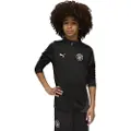 Puma Manchester City Training Quarter-Zip Top Youth, Clothing, Black/Silver, 7-8Y