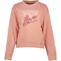 GUESS Cn Love Triangle Collegegenser