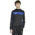 Adidas Tiro 25 Essentials Hettegenser