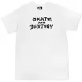Thrasher Skate And Destroy Kortarmet T-skjorte