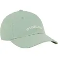 Dickies Wilsall Caps grønn