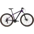 Coluer Ascent 292 29´´ Altus 2023 Terrengsykkel