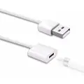 24hShop Ladekabel USB Apple Pencil