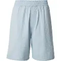 Carhartt WIP Toland Shorts blå