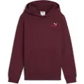 Puma Ess 2 Color Small Nº 1 Logo Hettegenser