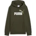 Puma Ess 2 Color Nº 1 Logo Hettegenser