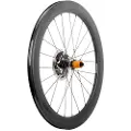 Progress Neon Cl Disc Tubeless 2023 Landeveissykkelens Bakhjul
