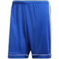 Adidas Squadra 17 Shorts