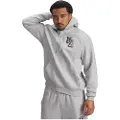 Under Armour Icon Fleece Graphic Hettegenser
