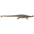 Collecta Deluxe Thalassomedon 1:40 Figur