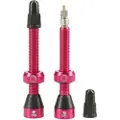 Tubolight Presta Tubeless Ventiler