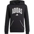 Adidas Seasonals Essentials Collegiate Typography Hettegenser