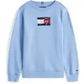 Tommy Hilfiger Script Flag Collegegenser