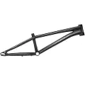Radio Raceline Quartz Pro Xl Bmx-ramme