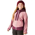 Regatta Haydenbury Softshelljakke