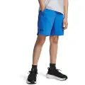 Under Armour Vanish Shorts