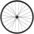 Specialized Roval Control Sl Vi Solix 29´´ Cl Disc Tubeless Mtb Bakhjul
