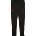 Puma AC Milan Training Pants Men, Sport, Black/Red, S