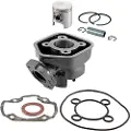 RMS Beauty Peugeot 50cc 100080202 Sylindersats