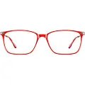 Nooz Optics Essential Reading Bao Leseglass