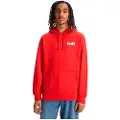 Levi's T2 Relaxed Graphic Hettegenser