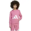 Adidas Essentials Hettegenser