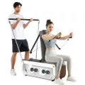 Kingsmith FBB1C, Biceps, Bryst, Forearms, Skuldre, Grå, Tre, 1170 mm, 340 mm, 415 mm, 36 kg