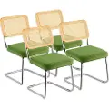 Vevor rottingstoler, sett med 4, spisestuestoler i mid-century modern-stil, polstret fløyelsstol med rottingrygg, retro spisestue- og kjøkkenstol for stue, soverom, leserom, kontor, grønn