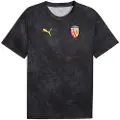 Puma RC Lens Pre-match Jersey Men, Sport, Galactic Gray/Pelé Yellow, L
