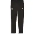 Puma Manchester City Training Pants Women, Sport, Black/Silver, L