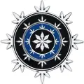 Fanattik Begrenset Utgave Pakke Med 4 Medaljonger Neverwinter Heraldikk Drager Og Hertuger