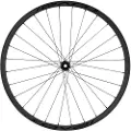 Specialized Roval Control Sl Vi 350 29´´ 6b Disc Tubeless Terrengsykkel Forhjul