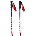 Swix World Cup Pro Sg Carbon Spaserstokker